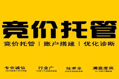 竞价广告开户实战：多角度解析成功案例